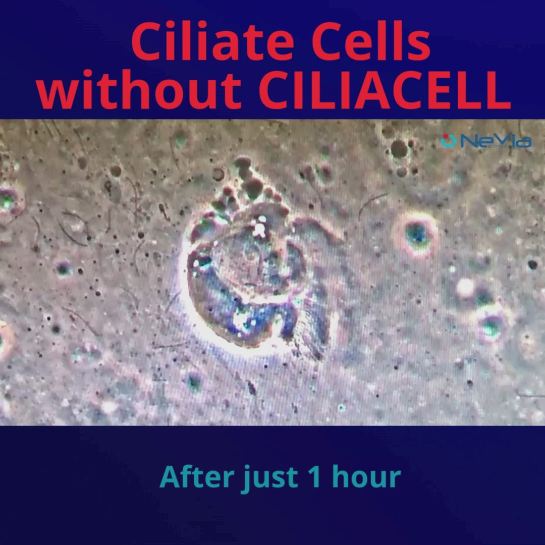 Carica video: CiliaCell Spray Nasale - Adulti SENSITIVE